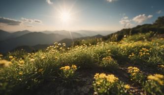 Anhänger von Terrapy erleben harmonisches Miteinander mit der Natur