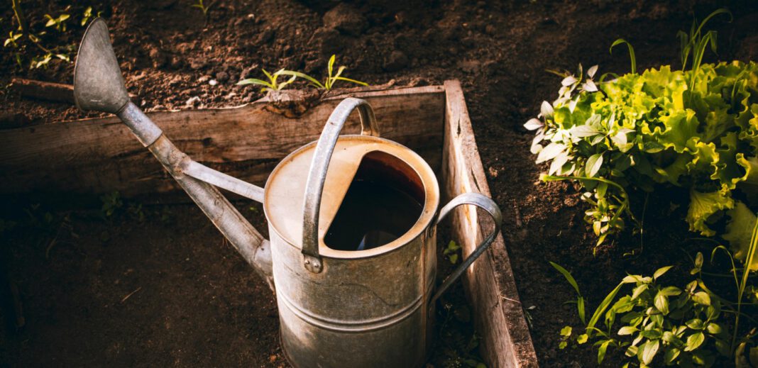 Freiwillige bereiten Hochbeete im Park Hamme für den Winter vor